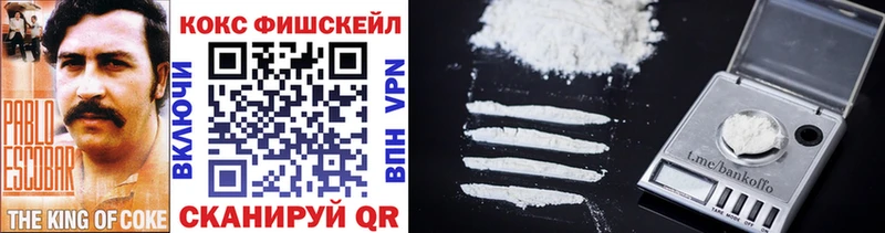 Cocaine FishScale  Купить  Сычёвка 