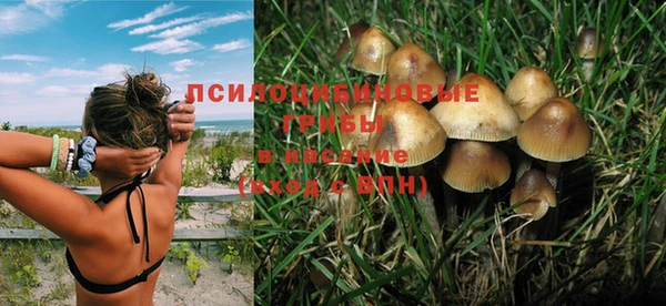соль курить ск Лагань