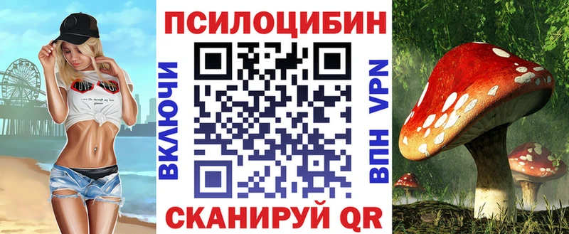 Псилоцибиновые грибы GOLDEN TEACHER  Купить  Сычёвка 